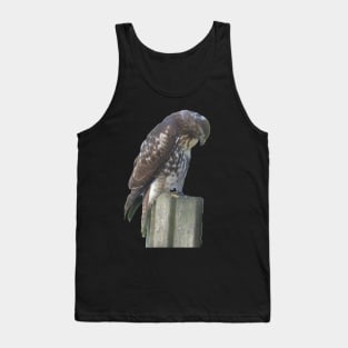 Falcon on Post Tank Top